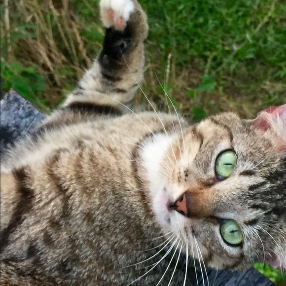 Meet your Posher, Jessica - Picture 3 of 4